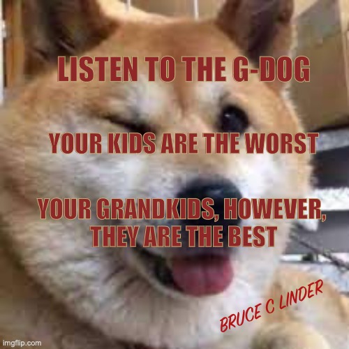 Grand babies | LISTEN TO THE G-DOG; YOUR KIDS ARE THE WORST; YOUR GRANDKIDS, HOWEVER, 
THEY ARE THE BEST; BRUCE C LINDER | image tagged in winky doggy,grammpa dog,dogs,puppies | made w/ Imgflip meme maker