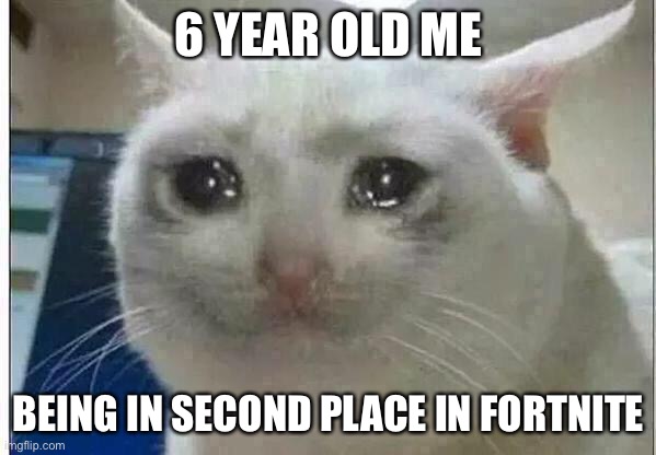 crying cat | 6 YEAR OLD ME; BEING IN SECOND PLACE IN FORTNITE | image tagged in crying cat | made w/ Imgflip meme maker