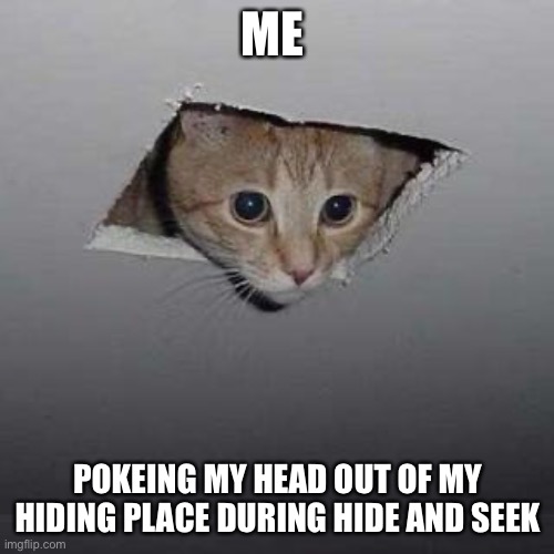 Ceiling Cat | ME; POKEING MY HEAD OUT OF MY HIDING PLACE DURING HIDE AND SEEK | image tagged in memes,ceiling cat | made w/ Imgflip meme maker