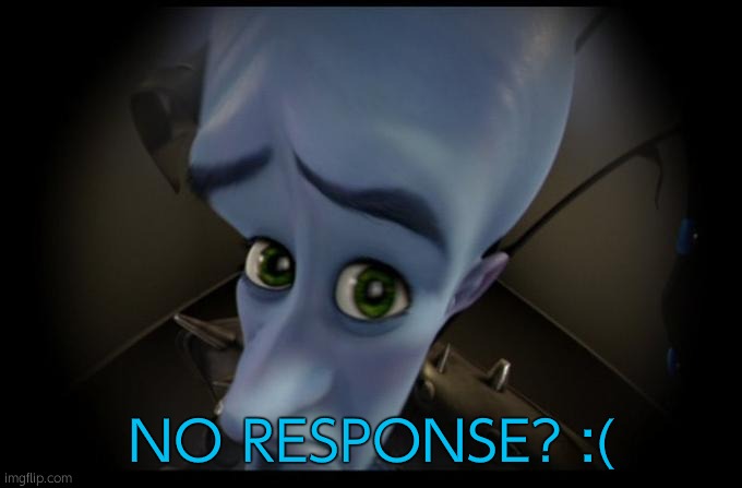 No B****es? | NO RESPONSE? :( | image tagged in no b es | made w/ Imgflip meme maker