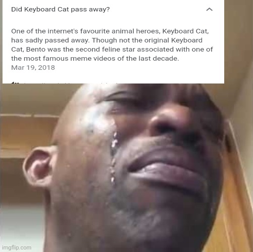 Plz, someone tell me this isn't true ??? | image tagged in crying guy meme | made w/ Imgflip meme maker