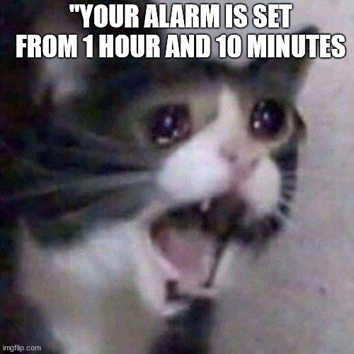 Screaming Cat meme | "YOUR ALARM IS SET FROM 1 HOUR AND 10 MINUTES | image tagged in screaming cat meme | made w/ Imgflip meme maker