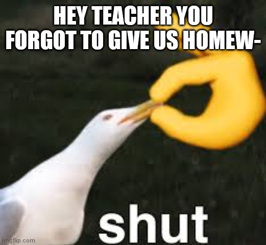 Shut Bird | HEY TEACHER YOU FORGOT TO GIVE US HOMEW- | image tagged in shut bird | made w/ Imgflip meme maker