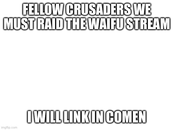 Help me | FELLOW CRUSADERS WE MUST RAID THE WAIFU STREAM; I WILL LINK IN COMMENTS | image tagged in crusader | made w/ Imgflip meme maker