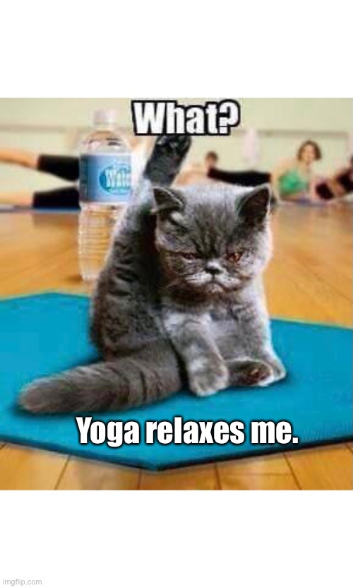 Yoga relaxes me. | Yoga relaxes me. | image tagged in what | made w/ Imgflip meme maker