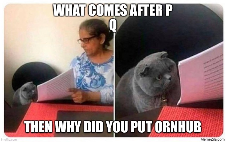 What comes after | WHAT COMES AFTER P

Q; THEN WHY DID YOU PUT ORNHUB | image tagged in what comes after | made w/ Imgflip meme maker