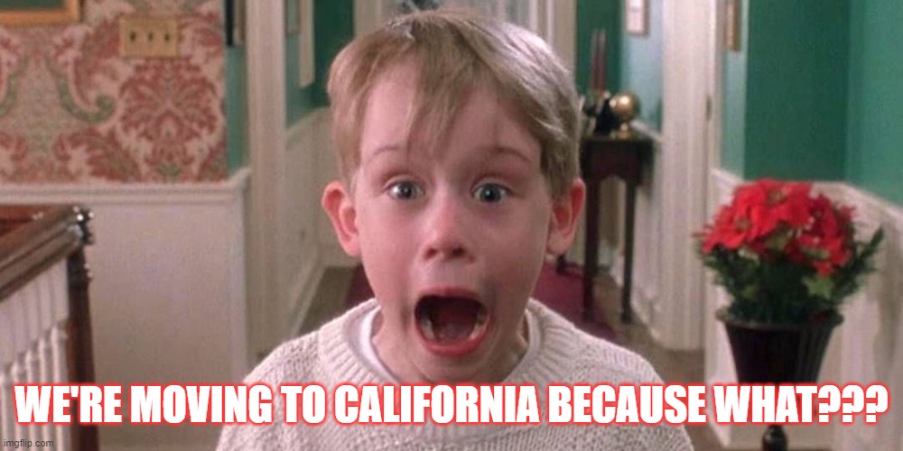 For James | WE'RE MOVING TO CALIFORNIA BECAUSE WHAT??? | image tagged in california,children,leave them alone | made w/ Imgflip meme maker