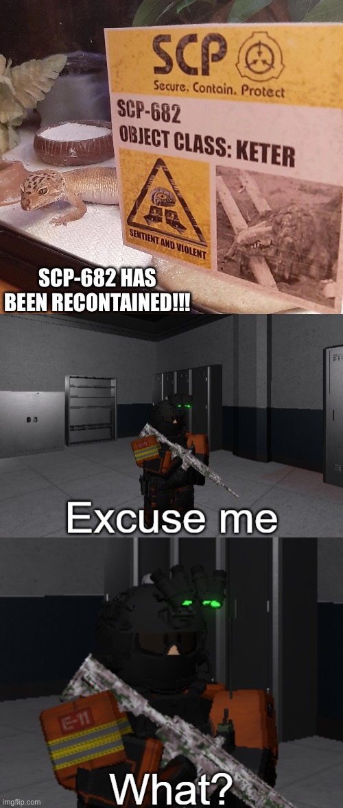 Recontaining 682 | SCP-682 HAS BEEN RECONTAINED!!! | image tagged in the true 682,mtf epsilon-11 excuse me what,scp | made w/ Imgflip meme maker