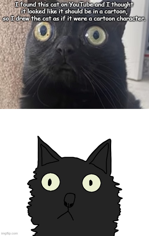 funny looking cat i found on youtube | I found this cat on YouTube and I thought it looked like it should be in a cartoon, so I drew the cat as if it were a cartoon character. | image tagged in funny,youtube,cats,cat,funny cats,funny cat | made w/ Imgflip meme maker
