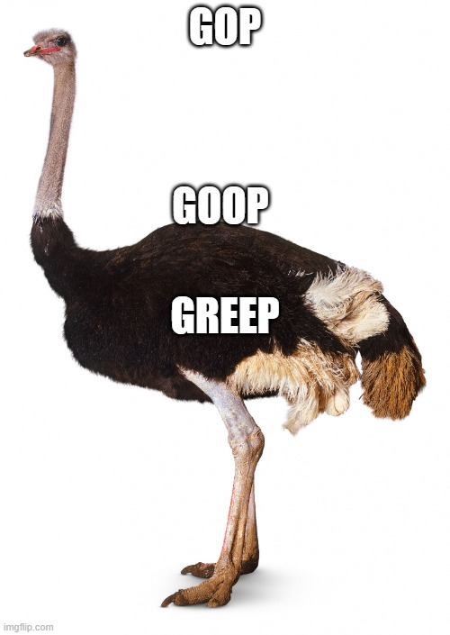 GOOP | GOP; GOOP; GREEP | image tagged in goop | made w/ Imgflip meme maker