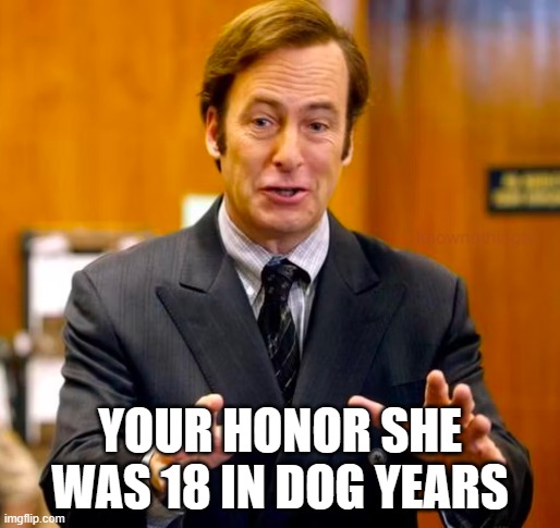 Saul Goodman Your Honor | YOUR HONOR SHE WAS 18 IN DOG YEARS | image tagged in saul goodman your honor | made w/ Imgflip meme maker