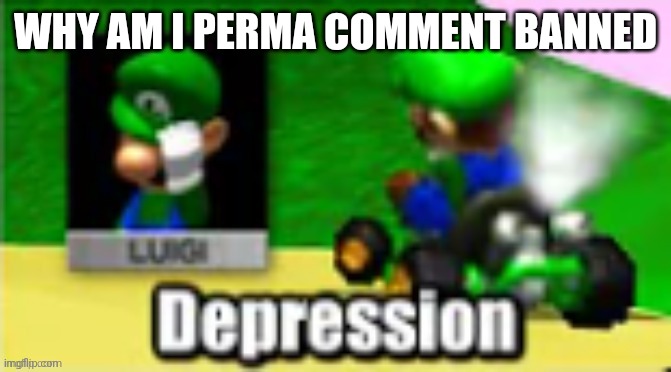 Luigi Depression | WHY AM I PERMA COMMENT BANNED | image tagged in luigi depression | made w/ Imgflip meme maker