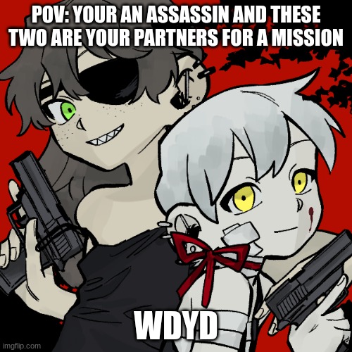 POV: YOUR AN ASSASSIN AND THESE TWO ARE YOUR PARTNERS FOR A MISSION; WDYD | made w/ Imgflip meme maker