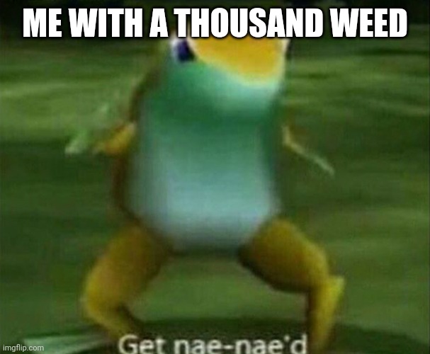 Get nae-nae'd | ME WITH A THOUSAND WEED | image tagged in get nae-nae'd | made w/ Imgflip meme maker