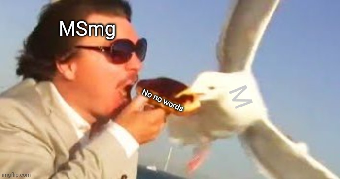 swiping seagull | MSmg No no words M | image tagged in swiping seagull | made w/ Imgflip meme maker