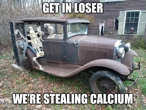 Get in loser skeleton | GET IN LOSER; WE’RE STEALING CALCIUM | image tagged in calcium,skeleton,skeletons,car,get in loser | made w/ Imgflip meme maker