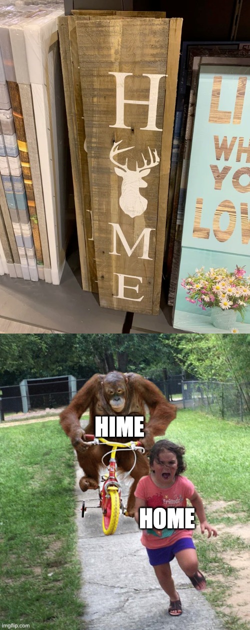 Hime | HIME; HOME | image tagged in orangutan chasing girl on a tricycle,you had one job,design fails,failure,memes,crappy design | made w/ Imgflip meme maker