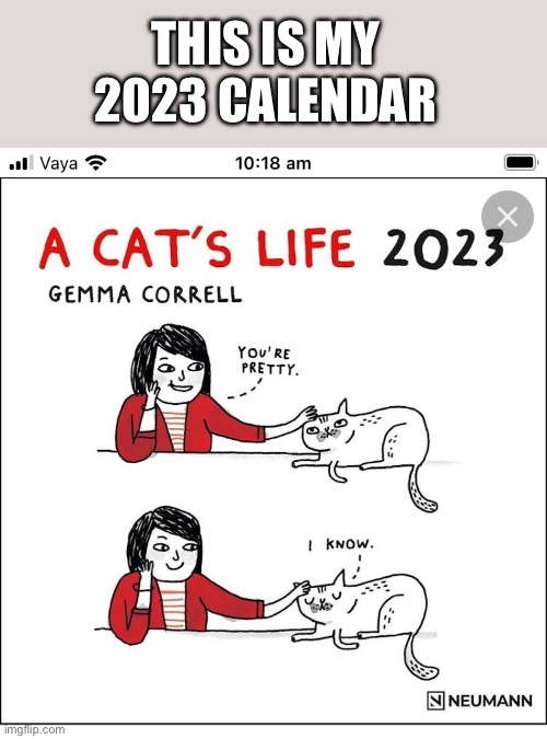 This is my calendar. Be jealous, cat friends. | THIS IS MY 2023 CALENDAR | image tagged in cat,big ego,so true meme | made w/ Imgflip meme maker