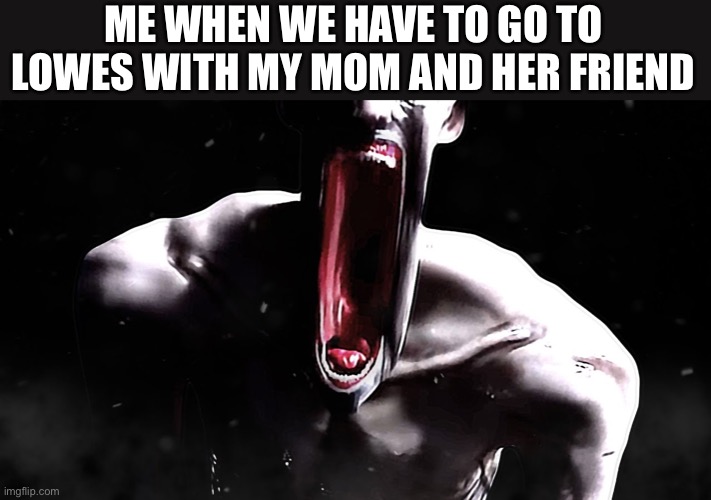 IT HAPPENED ON SATURDAY JANUARY THE 7TH.I WANTED TO NOT GO ANWHERE ELSE THAN HER FRIENDS HOUSE,AND NOW…I died | ME WHEN WE HAVE TO GO TO LOWES WITH MY MOM AND HER FRIEND | made w/ Imgflip meme maker