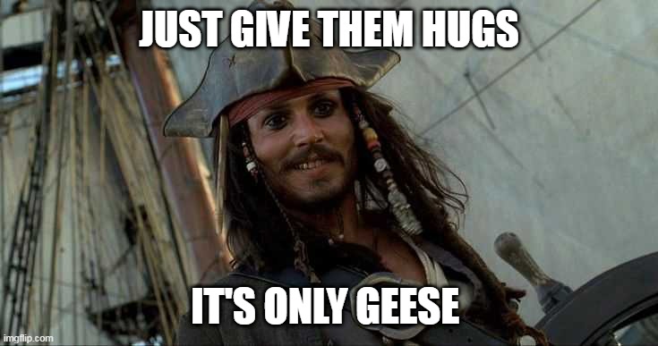 JACK OH I LIKE THAT | JUST GIVE THEM HUGS IT'S ONLY GEESE | image tagged in jack oh i like that | made w/ Imgflip meme maker