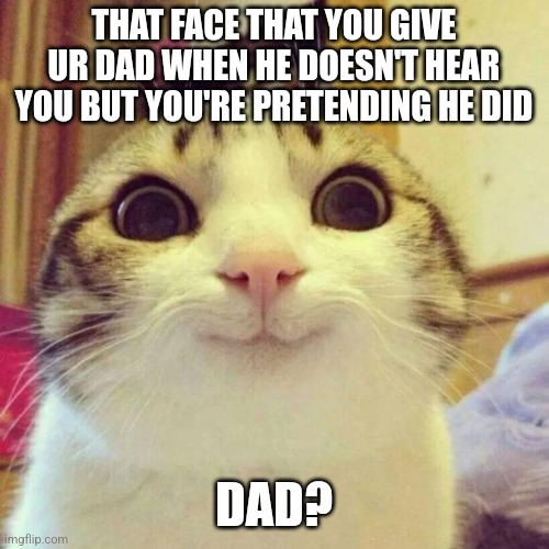 Smiling Cat Meme | THAT FACE THAT YOU GIVE UR DAD WHEN HE DOESN'T HEAR YOU BUT YOU'RE PRETENDING HE DID; DAD? | image tagged in memes,smiling cat | made w/ Imgflip meme maker