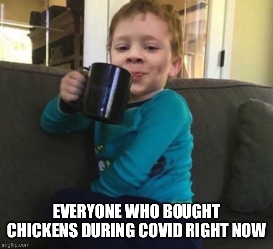 Smug kid with coffee cup on couch | EVERYONE WHO BOUGHT CHICKENS DURING COVID RIGHT NOW | image tagged in smug kid with coffee cup on couch | made w/ Imgflip meme maker