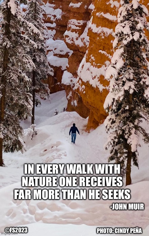 In every walk with nature | IN EVERY WALK WITH NATURE ONE RECEIVES FAR MORE THAN HE SEEKS; -JOHN MUIR; ©FS2023; PHOTO: CINDY PEÑA | image tagged in hike,walk,nature,john muir,snow,winter | made w/ Imgflip meme maker