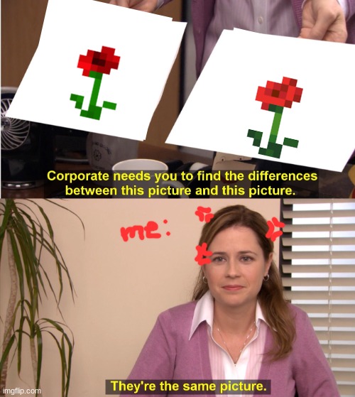 Mind-Craft Poppy and Rose | image tagged in corporate wants you to find the difference | made w/ Imgflip meme maker