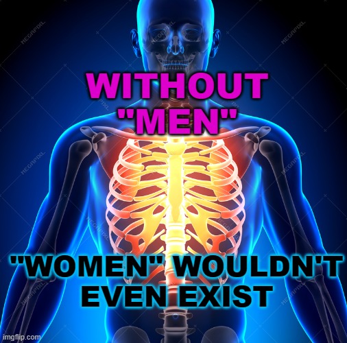 Without "men" the word "women" wouldn't even exist, you know. | WITHOUT
"MEN"; "WOMEN" WOULDN'T
EVEN EXIST | image tagged in adam's rib | made w/ Imgflip meme maker