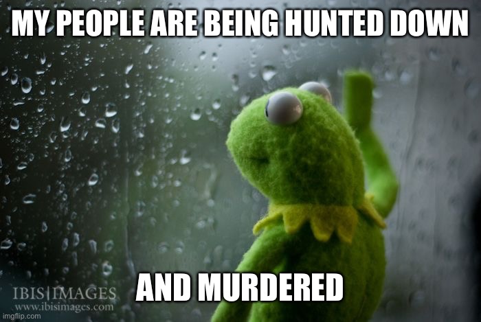 kermit window | MY PEOPLE ARE BEING HUNTED DOWN; AND MURDERED | image tagged in kermit window | made w/ Imgflip meme maker