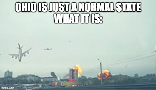 Only in ohio | OHIO IS JUST A NORMAL STATE
WHAT IT IS: | image tagged in only in ohio | made w/ Imgflip meme maker