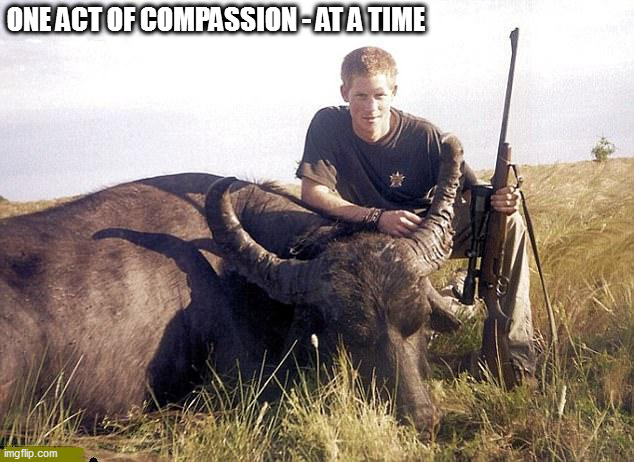 prince harry | ONE ACT OF COMPASSION - AT A TIME | image tagged in prince harry,royals,royal family,anti royal,british royals,meghan markle | made w/ Imgflip meme maker