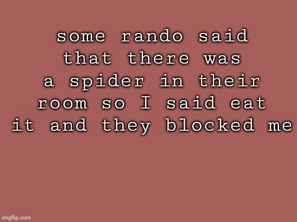 [on a different website] | some rando said that there was a spider in their room so I said eat it and they blocked me | made w/ Imgflip meme maker