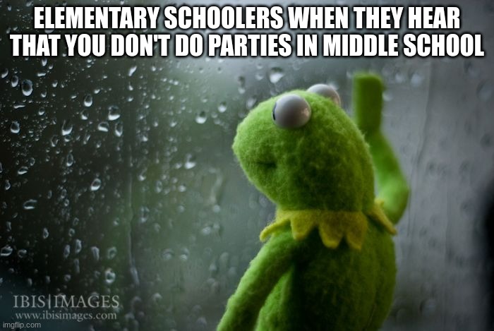true, but sad | ELEMENTARY SCHOOLERS WHEN THEY HEAR THAT YOU DON'T DO PARTIES IN MIDDLE SCHOOL | image tagged in kermit window | made w/ Imgflip meme maker