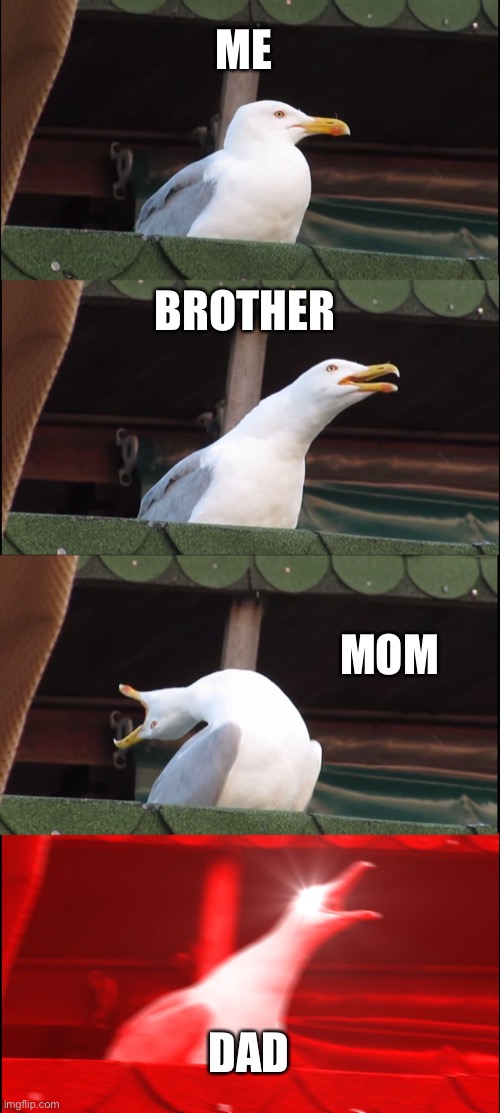 Inhaling Seagull Meme | ME; BROTHER; MOM; DAD | image tagged in memes,inhaling seagull | made w/ Imgflip meme maker