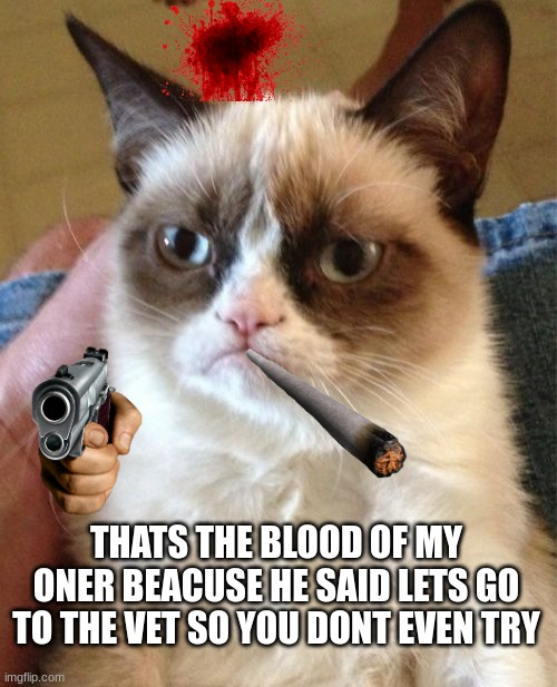 Grumpy Cat | THATS THE BLOOD OF MY ONER BEACUSE HE SAID LETS GO TO THE VET SO YOU DONT EVEN TRY | image tagged in memes,grumpy cat | made w/ Imgflip meme maker