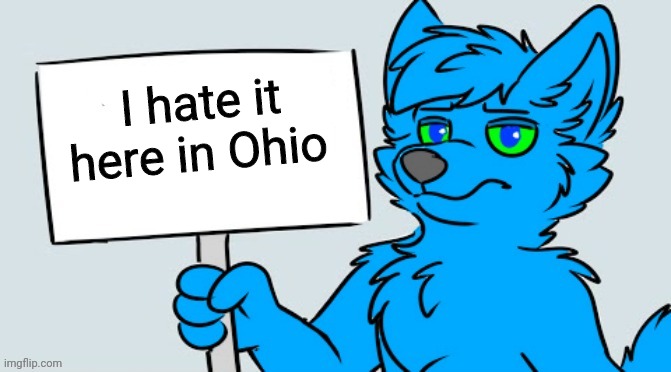 Retro holding sign | I hate it here in Ohio | image tagged in retro holding sign | made w/ Imgflip meme maker