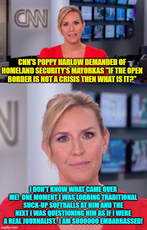 I'm sure that this was a total accident. | CNN'S POPPY HARLOW DEMANDED OF HOMELAND SECURITY'S MAYORKAS "IF THE OPEN BORDER IS NOT A CRISIS THEN WHAT IS IT?"; I DON'T KNOW WHAT CAME OVER ME!  ONE MOMENT I WAS LOBBING TRADITIONAL SUCK-UP SOFTBALLS AT HIM AND THE NEXT I WAS QUESTIONING HIM AS IF I WERE A REAL JOURNALIST.  I AM SOOOOOO EMBARRASSED! | image tagged in truth | made w/ Imgflip meme maker