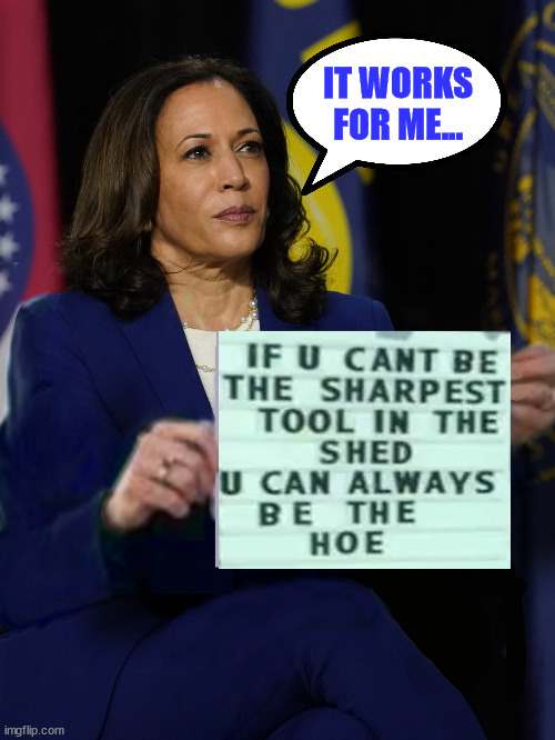 Kamala tells the truth... | IT WORKS FOR ME... | image tagged in kamala harris holding sign,rare,moment,truth | made w/ Imgflip meme maker