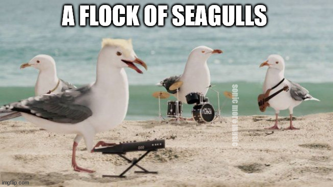 A Flock of Seagulls | A FLOCK OF SEAGULLS; sonic more music | image tagged in a flock of seagulls,new wave,seagulls,music | made w/ Imgflip meme maker