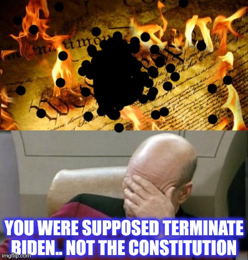 YOU WERE SUPPOSED TERMINATE BIDEN.. NOT THE CONSTITUTION | image tagged in constitution in flames,memes,captain picard facepalm | made w/ Imgflip meme maker