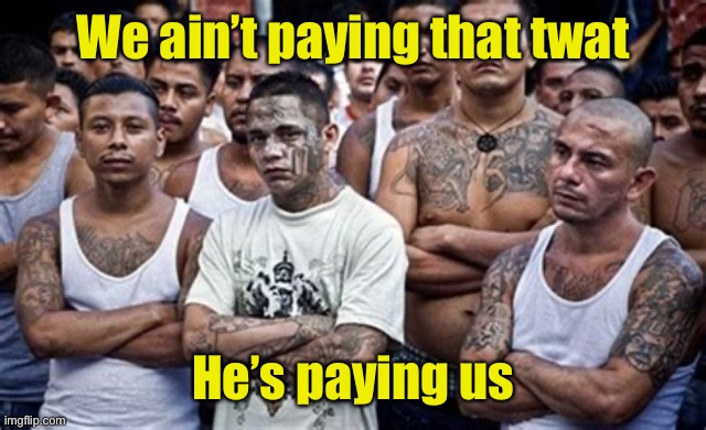 MS13 Family Pic | We ain’t paying that twat He’s paying us | image tagged in ms13 family pic | made w/ Imgflip meme maker