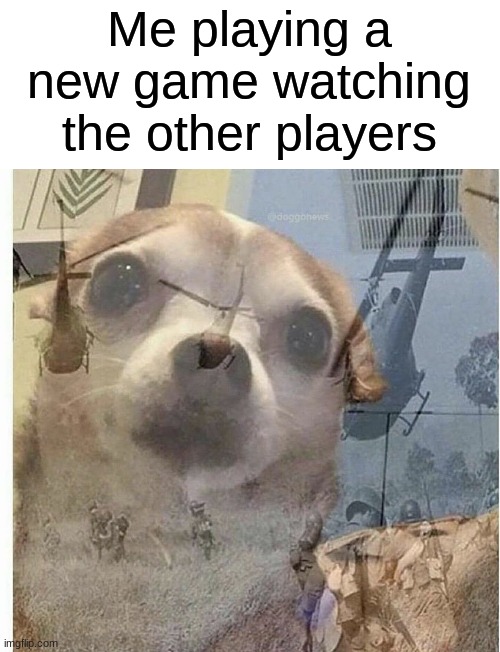 Enemy Spotted | Me playing a new game watching the other players | image tagged in ptsd chihuahua | made w/ Imgflip meme maker