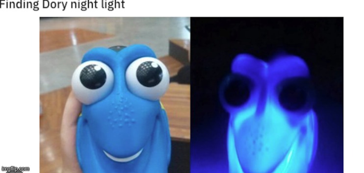 This gives me nightmares | image tagged in finding dory,cursed | made w/ Imgflip meme maker