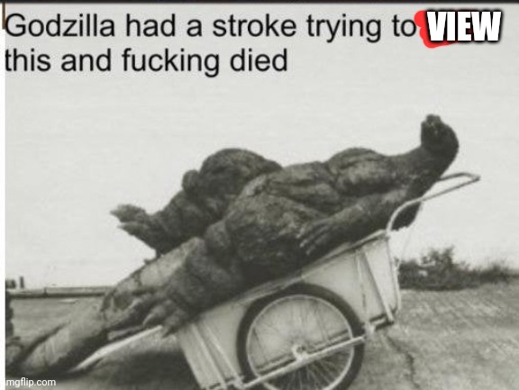 Godzilla | VIEW | image tagged in godzilla | made w/ Imgflip meme maker