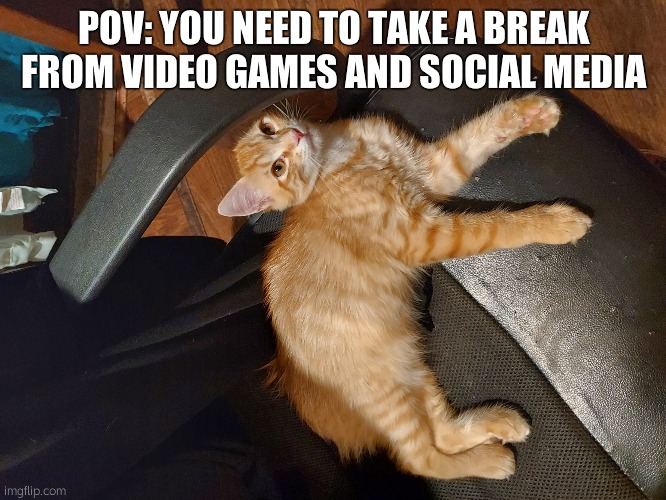 Always go to the catto | POV: YOU NEED TO TAKE A BREAK FROM VIDEO GAMES AND SOCIAL MEDIA | image tagged in our kitten stoner | made w/ Imgflip meme maker