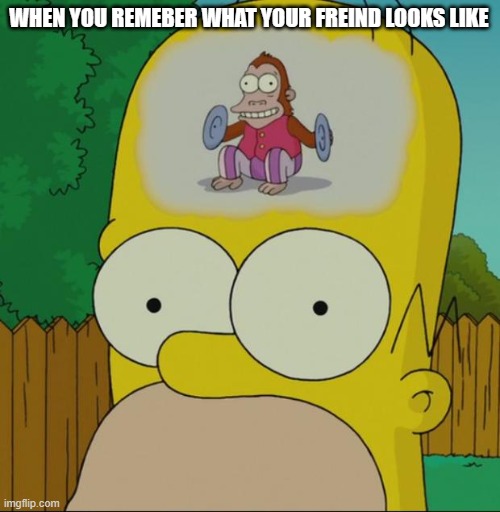 MONKEY (MOD NOTE: you have friends? I am jealous.) | WHEN YOU REMEBER WHAT YOUR FREIND LOOKS LIKE | image tagged in homer monkey | made w/ Imgflip meme maker