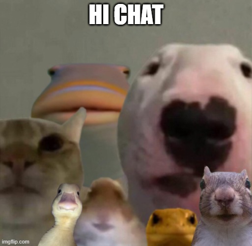 hi chat | HI CHAT | image tagged in memes | made w/ Imgflip meme maker
