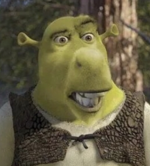 High Quality Donkey Shrek Blank Meme Template