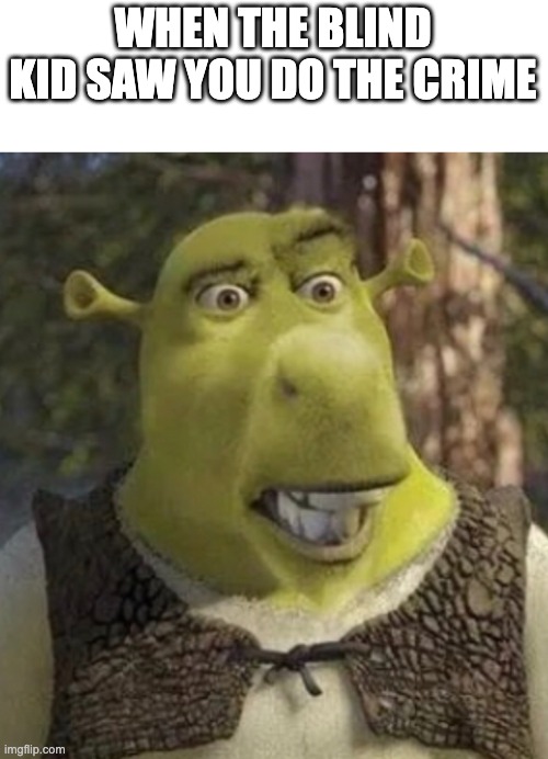 Shrek Funny Meme | Poster